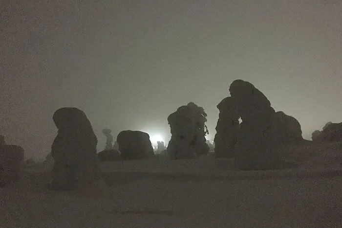 Die tief eingeschneiten Bäume verwandeln den Levi-Berg nachts in eine Mondlandschaft. Mit etwas Glück kann man während der mystischen Wanderung in klaren Nächten auch die Polarlichter beobachten.