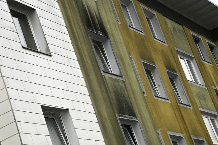 Die Algenbildung auf den Fassaden der Siedlungshäuser würde unter dem starken Bewuchs in der Anlage gefördert, heißt es seitens der Neuen Heimat.