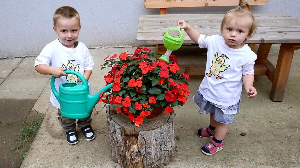 Rund zwei Monate wurden die Blumen im Garten der Kindertagesstätte von den Junggärtnern unter Anleitung ihrer Betreuerinnen liebevoll gehegt und gepflegt