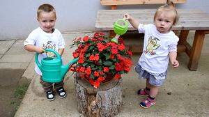 Rund zwei Monate wurden die Blumen im Garten der Kindertagesstätte von den Junggärtnern unter Anleitung ihrer Betreuerinnen liebevoll gehegt und gepflegt