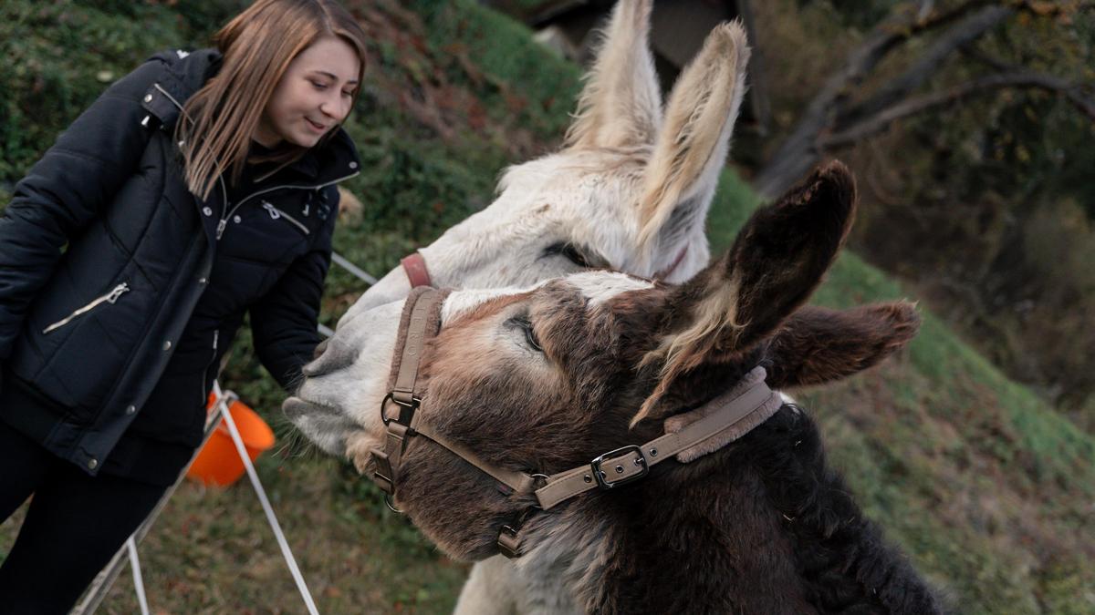 Der neue „Eselpark“ der Eselrettung Österreich soll in Leoben vor allem Familien, Kinder und Menschen mit Behinderungen anziehen