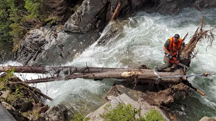 Bergführergehilfe Vizeleutnant Klaus Pascuttini beginnt mit dem Zerschneiden des Baumstammes.