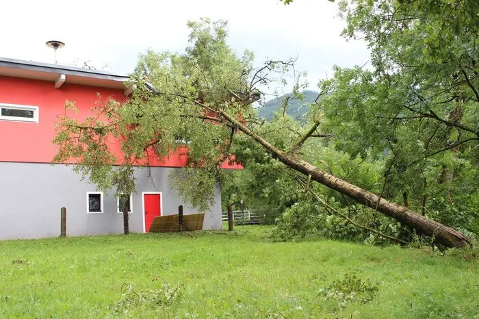 Umgestürzter Baum auf das Rüsthaus St. Georgen