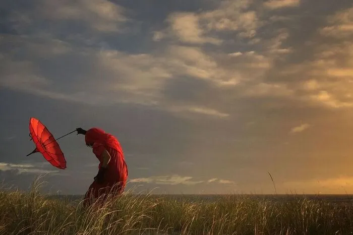 Weniger abstrakt, aber dennoch sehr schön anzuschauen: Robin Robertis' Foto "She bends with the wind". Der Kalifornier ladete auf Platz zwei bei den Fotos des Jahres.
