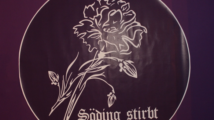 Unter dem Motto "Söding stirbt" standen heuer die Shows des Södinger Männerballetts.