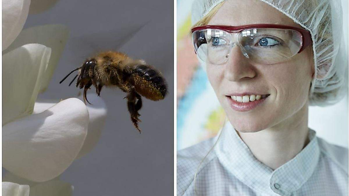 Johanna Irrgeher leitet das Projekt „TecEUS“ an der Montanuni Leoben