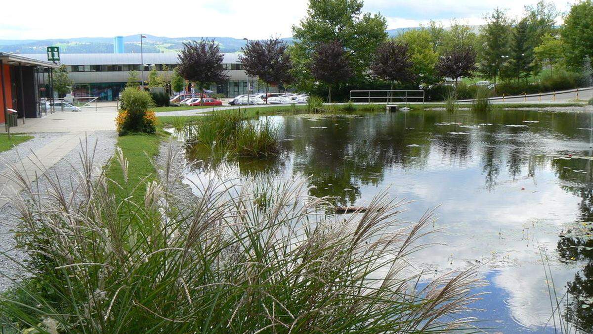 Für den &quot;Kurpark&quot; Dechantteich werden noch Ideen gesucht