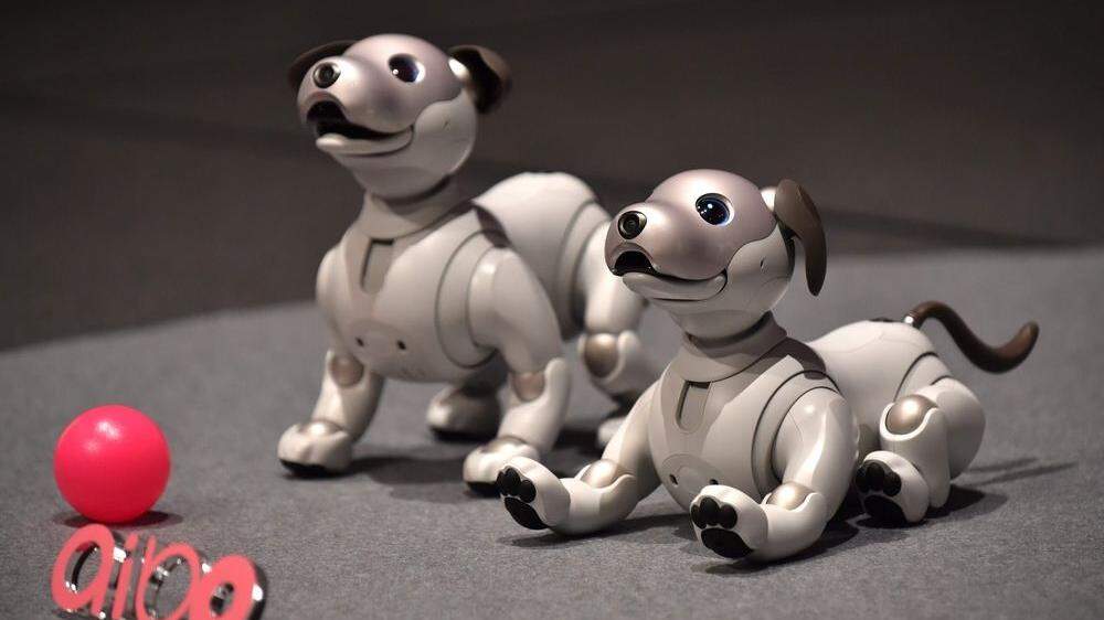 Sonys Roboterhund Aibo kehrt nach mehr als zehn Jahren zurück