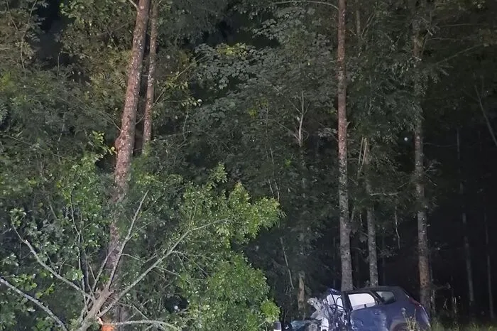 Während die Feuerwehrsanitäter gemeinsam mit dem Roten Kreuz die Versorgung der Verletzten durchführten, wurde durch die restliche Mannschaft die Unfallstelle ausgeleuchtet und eine Umleitung eingerichtet.Nachdem der Taxilenker mit Hilfe des hydraulischen Rettungsgerätes aus dem Fahrzeug befreit und der Notärztin übergeben war, sowie die Polizei die Unfallstelle freigegeben hatte, konnte diese geräumt und gegen 03:30 Uhr die Einsatzbereitschaft gemeldet werden.