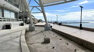 Die Brunnenlandschaft vor dem Konkavbauwerk Zipser  | Die Brunnenlandschaft vor dem Konkavbauwerk Zipser 