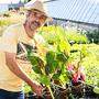 Michael Schludermann vom Blumenhof Villach ist einer der  Gärtner in Kärnten, die Wintergemüse anbieten