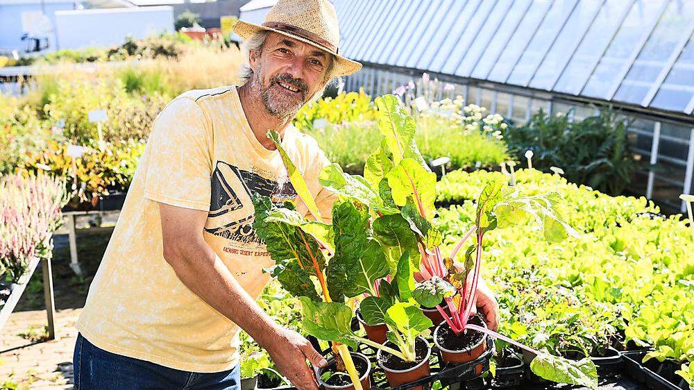 Michael Schludermann vom Blumenhof Villach ist einer der  Gärtner in Kärnten, die Wintergemüse anbieten