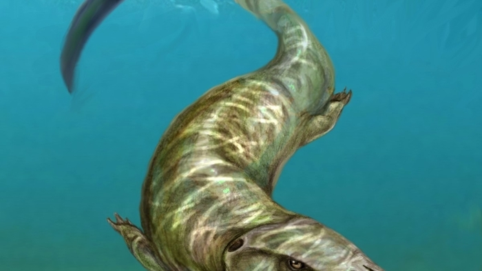 Auch Knochensedimente eines 18 Meter langen Mosasaurus wurden gefunden