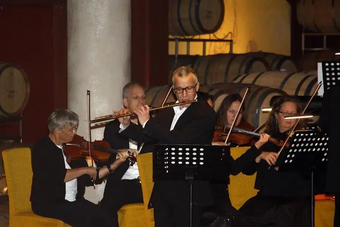 Auf dem Programm standen Werke von Johann und Josef Strauss, Franz Lehar, Johannes Brahms und weiteren Komponisten der Unterhaltungsmusik.