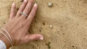 Noch ist unklar, was die angespülten Kügelchen sind | Noch ist unklar, was die angespülten Kügelchen sind