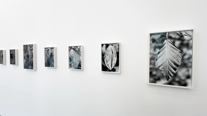 Ausstellungsansicht „Actinism“ von Anouk Tschanz