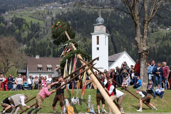 Das Maibaumaufstellen verlangt eine starke Männerkraft!