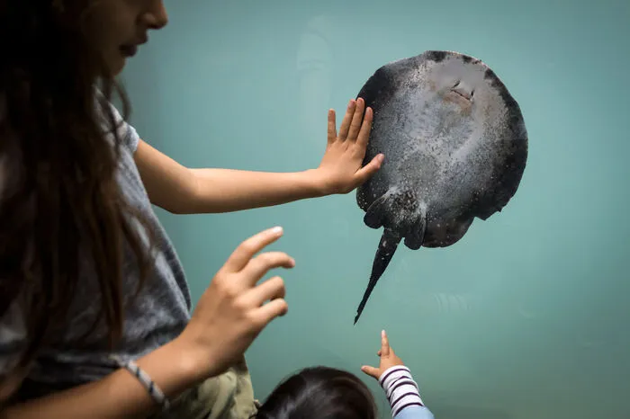 46 Aquarien und Terrarien, 10.000 Fische und zwei Millionen Liter Süßwasser: Am Wochenende ist das größte Süßwasser-Aquarium Europas eröffnet worden.
