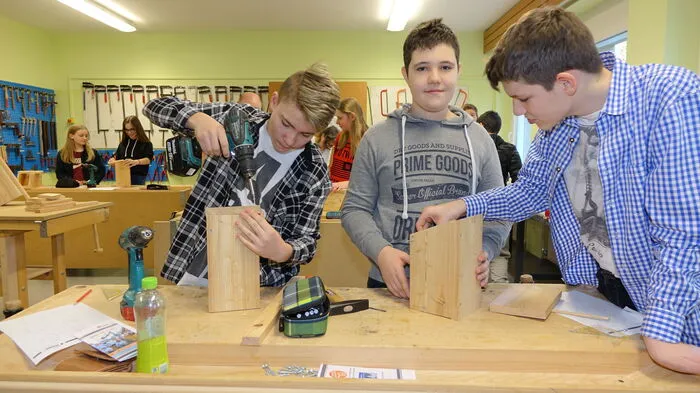 Die Schüler der NMS Bad Waltersdorf bauten unter Anleitung der Firma Haas Fertigbau Nistkästen für Vögel.