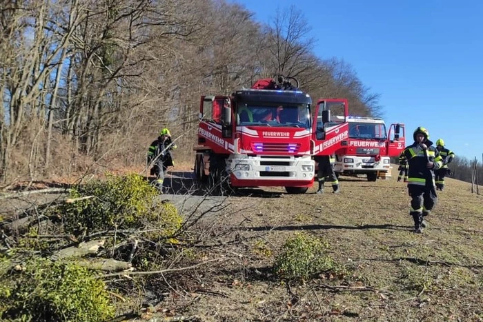 In Ehrenhausen versperrte Windbruch eine Straße.