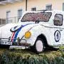 Der VW-Käfer „Herbie“ raste zum Sieg beim diesjährigen Narzissenfest