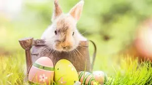 Der Osterhase wird auch in der Lipizzanerheimat von vielen Kindern sehnlich erwartet