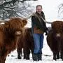 Stroitz ganz privat mit seinen Schottischen Hochlandrindern