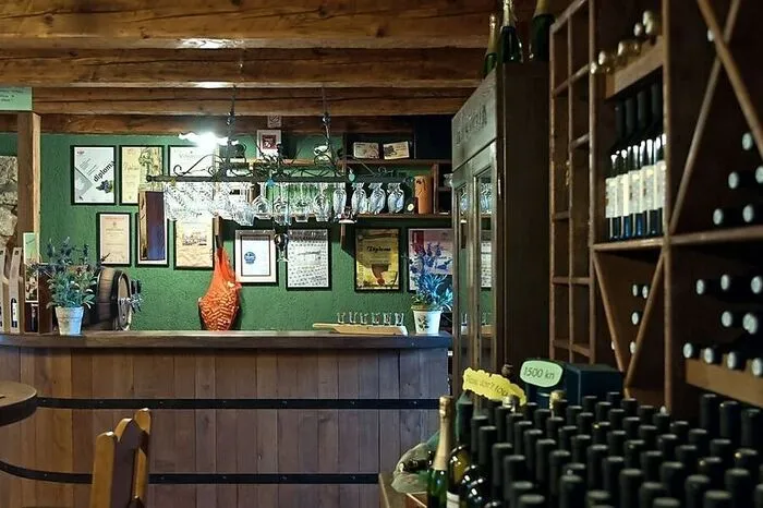 Bekannt ist Krk vor allem für das Keltern von Wein. „Du bekommst bei uns inzwischen alle Weine, aber Zlahtina ist etwas ganz Besonderes“, erzählt Oliver Stasic stolz. Er muss es wissen, ist er doch Manager des Hotels Vinotel Gospoja in Vrbnik, ein Weinort, der sich auch als idealer Ausgangspunkt für eine Erkundungstour der Insel eignet.