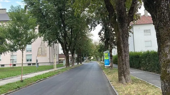 Blick auf eine leere Straße gesäumt von Bäumen links und rechts