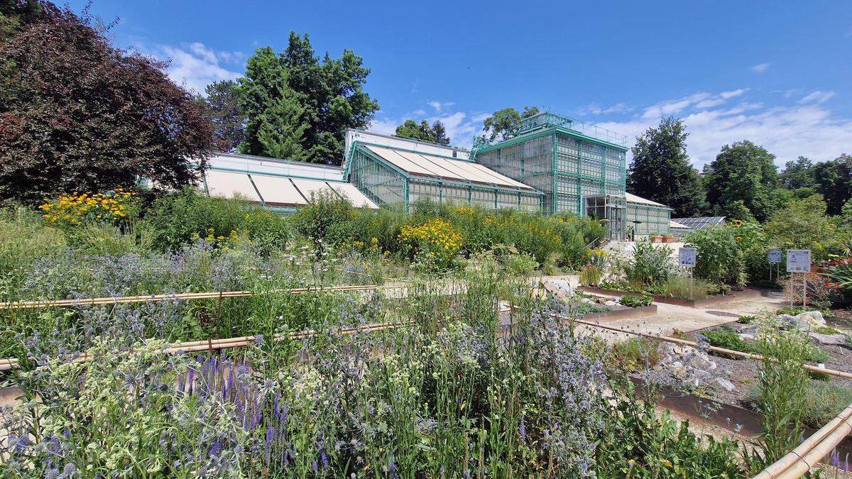 Ab 14.30 Uhr ist der Botanische Garten in Graz geschlossen  | Ab 14.30 Uhr ist der Botanische Garten in Graz geschlossen 