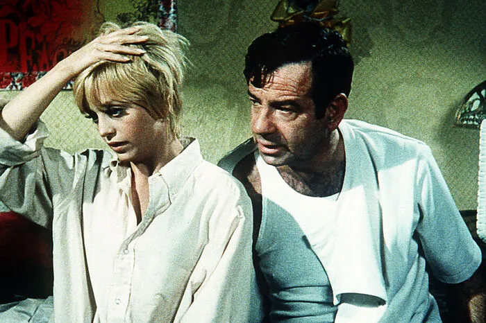 Der Durchbruch 1969 mit "Die Kaktusblüte": Als junge Toni Simmons ist sie unsterblich in den reiferen Zahnarzt Dr. Julian Winston (Walter Matthau) verliebt.