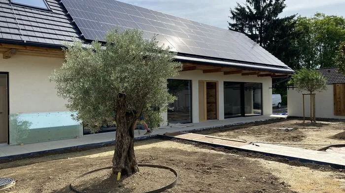 Noch wird an den beiden Häusern gebaut, auch der Garten sei noch nicht fertig. Der Olivenbaum steht jedoch bereits und verstrahlt südländisches Flair