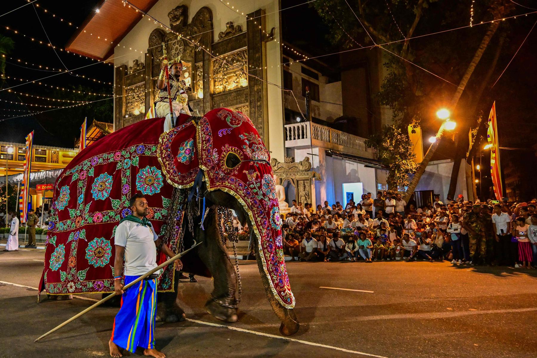Elefant in Panik läift Amok und verletzt 13 Menschen in Sri Lanka 