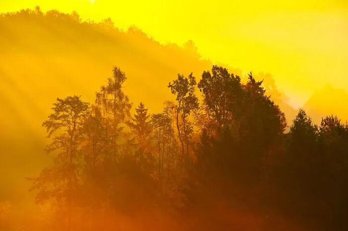 Das Licht des Herbstes erzeugt eine besonders schöne Stimmung.