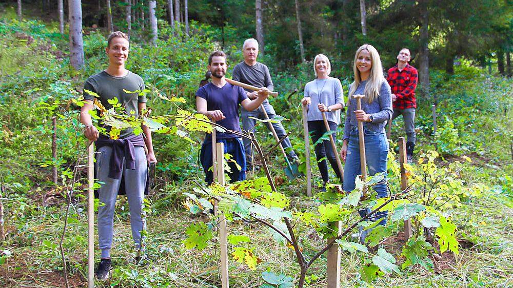 Die ersten 30 Bäume hat das Team von Würcher Media bereits gepflanzt