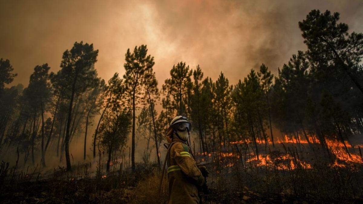 Waldbrände wüteten in Portugal