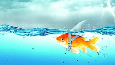 Wo beginnt die Lüge, wo hört die Wahrheit auf? 