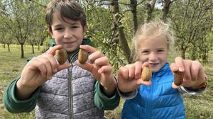 Samuel und Sophie Gerstl essen Mandelkerne gerne