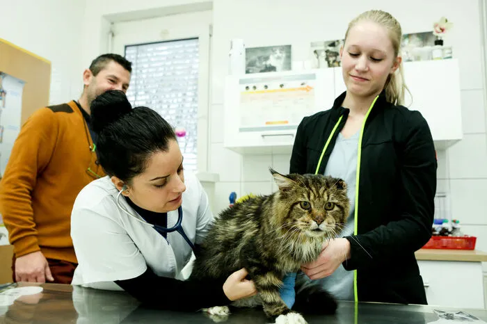 In dem Tierheim ist auch eine Tierklinik untergebracht.