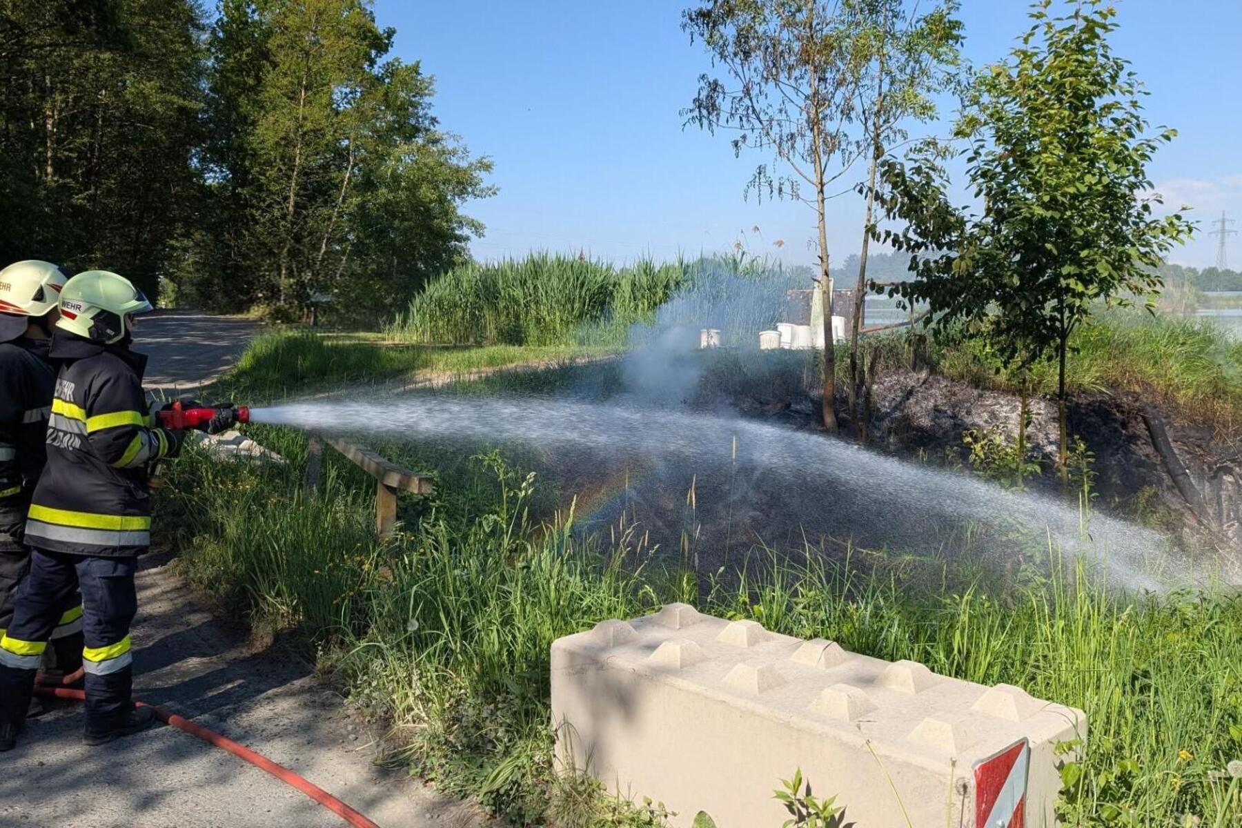 Waldbrand verhindert: Anrainer beobachtete Rauch und alarmierte Wehr