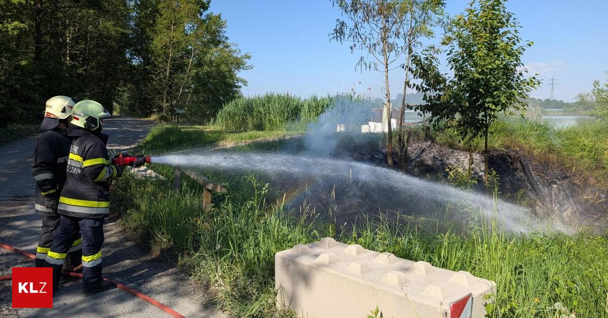Waldbrand-verhindert-Anrainer-beobachtete-Rauch-und-alarmierte-Wehr