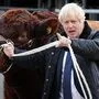 Johnson reiste am Freitag nach Schottland. In Aberdeenshire kündigte er ein Hilfspaket für schottische Landwirte für die Zeit nach dem Brexit an