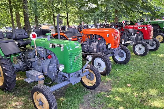 Die Steyr-Oldtimer-Traktoren erstrahlten in den buntesten Farben.