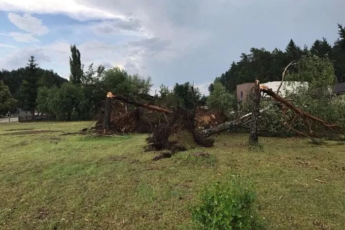 Tschepitschach in Globasnitz: Bäume wurden entwurzelt