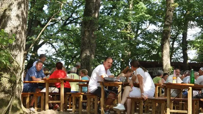Von mächtigen Baumriesen überdeckt, fand auf dem Parapluiberg bei Bairisch Kölldorf das traditionelle Waldfest der Feuerwehr statt. 