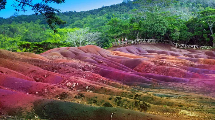 Ein besonders prachtvolles Naturphänomen offenbart sich in der Nähe der Ortschaft Chamarel im Südwesten von  Mauritius. Die "Siebenfarbige Erde" zeugt vom vulkanischen Ursprung der Insel. Die Farben entstehen durch die Umwandlung von Lava in Tonminerale.