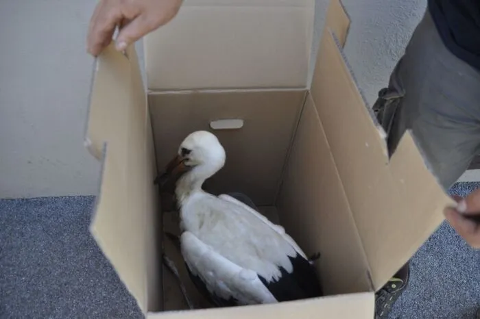 Klicken Sie sich durch!