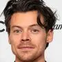 Harry Styles kommt jetzt doch seinen Fans entgegen