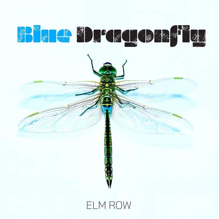 Albumcover von "Blue Dragonfly"