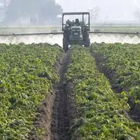 Tonnenweise werden in der Landwirtschaft Pestizide ausgebracht